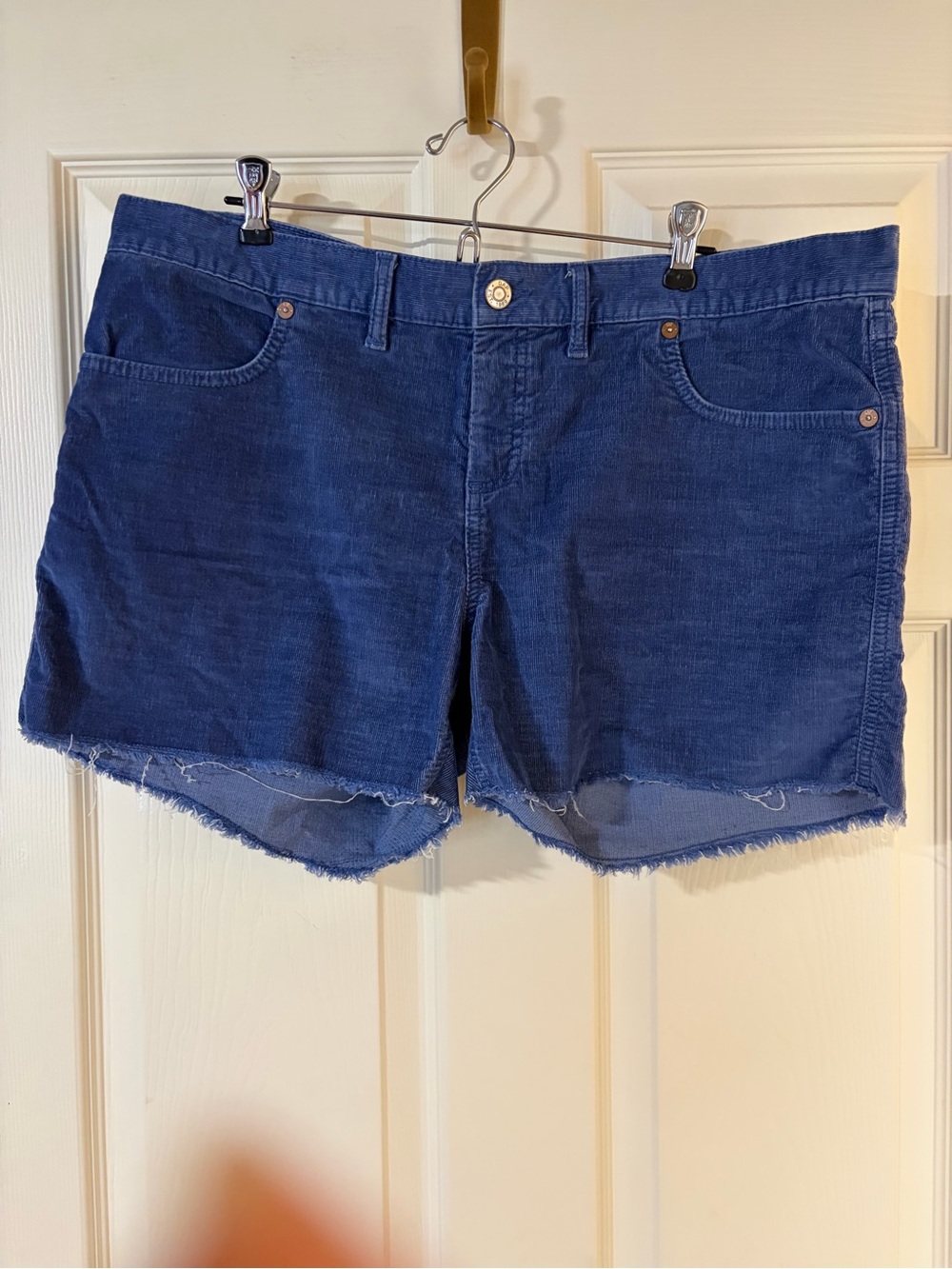 GAP Women's Dark Blue Frayed Hem Corduroy 4" inseam Shorts, size 14
